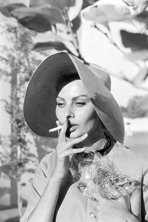Sophia Loren