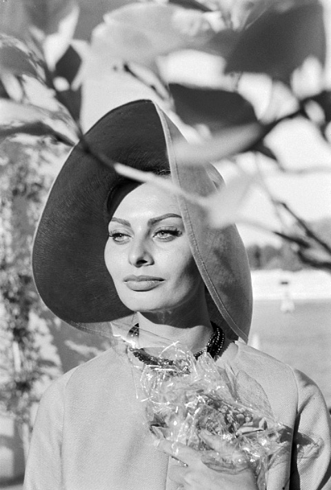 Sophia Loren