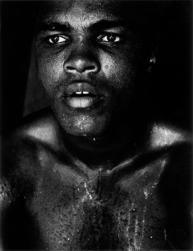 Muhammad Ali Muhammad Ali