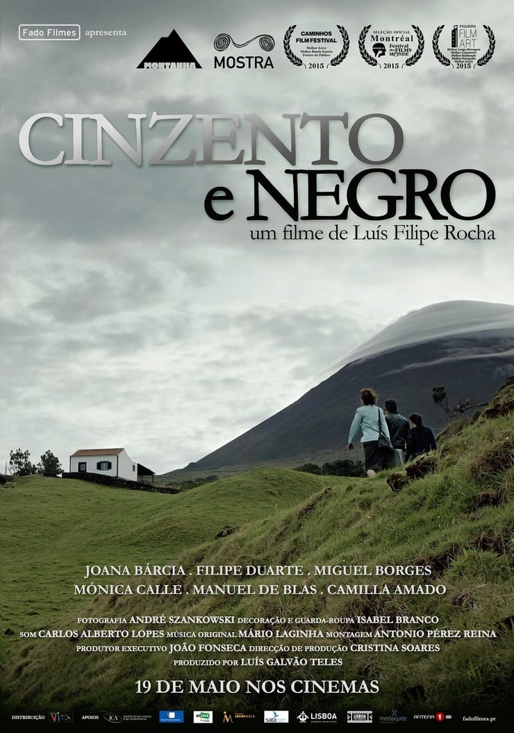 Cinzento e Negro