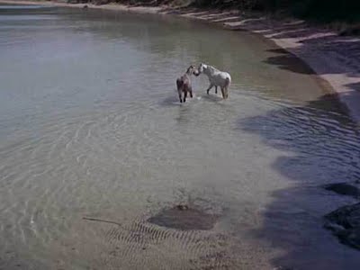 Du côté de la côte (1958)