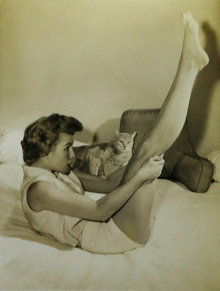 Julia Meade Julia Meade