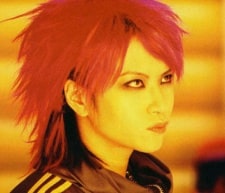 Hide