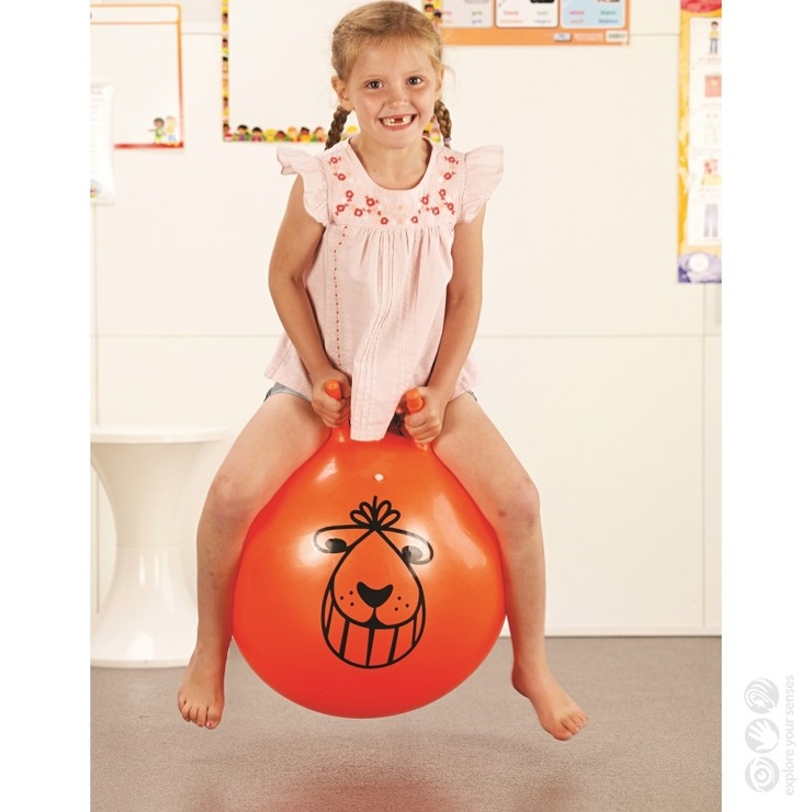 Picture of Space Hopper