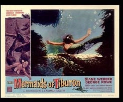 Mermaids of Tiburon