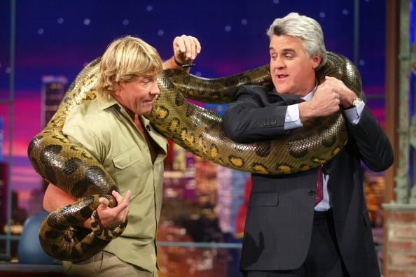 Steve Irwin Steve Irwin