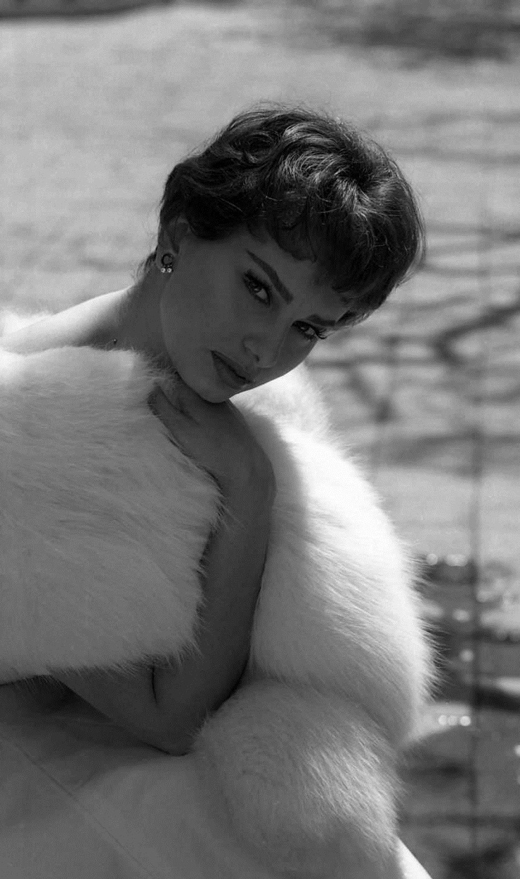 Sophia Loren Sophia Loren