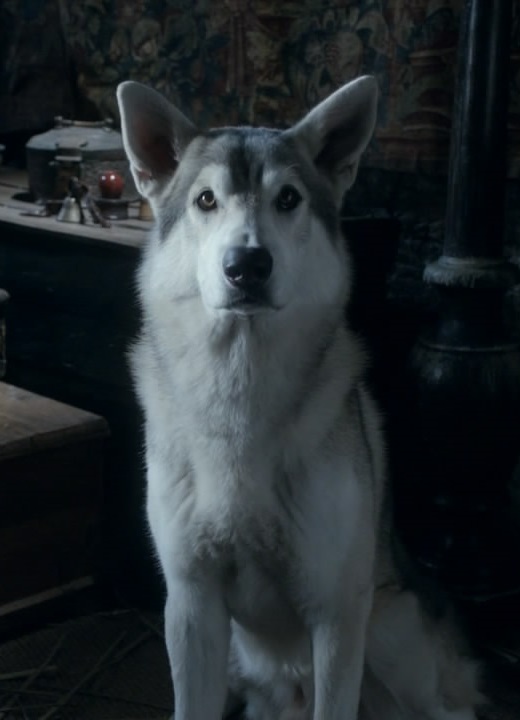 Nymeria