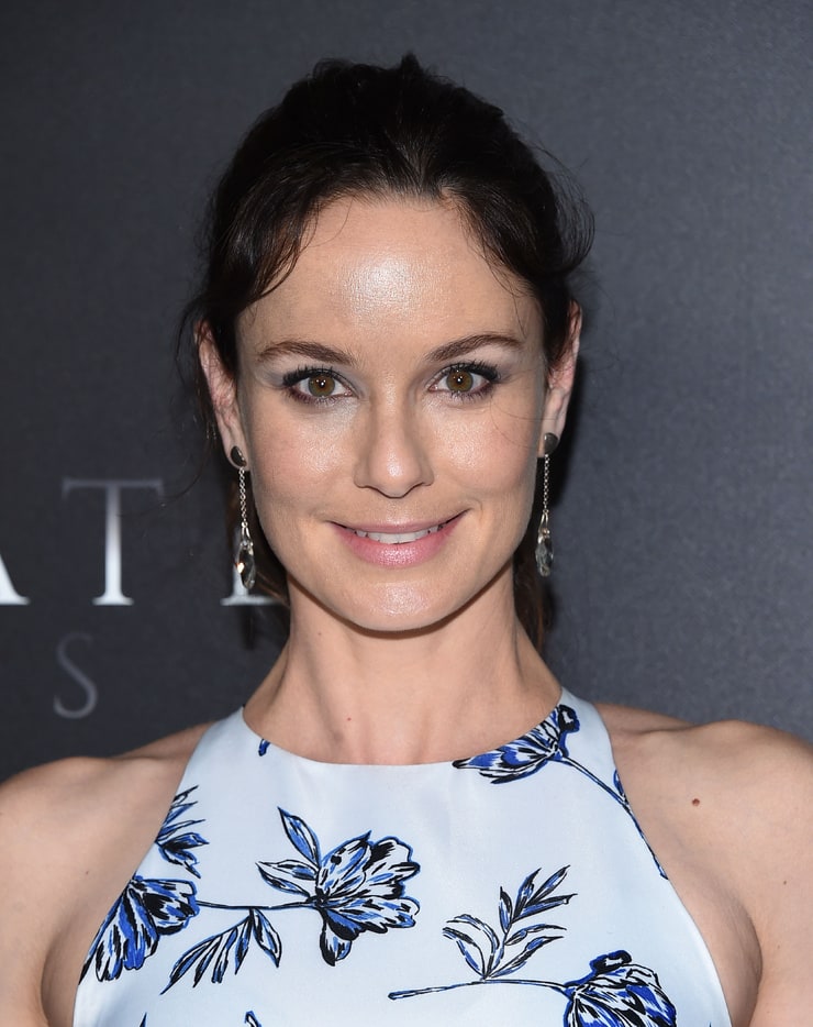 Sarah Wayne Callies