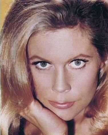 Elizabeth Montgomery Elizabeth Montgomery