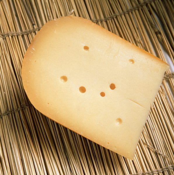 Gouda Cheese