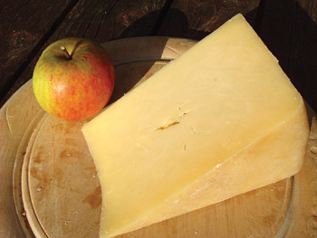 Cheddar Cheese Cheddar Cheese