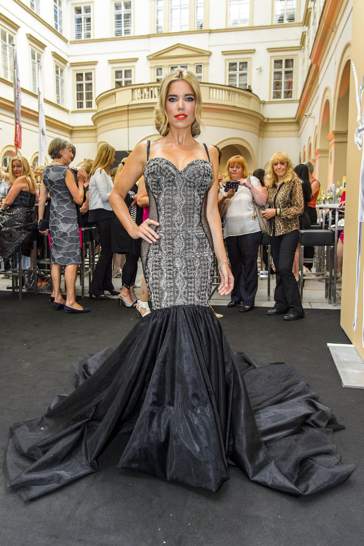 Sylvie Meis