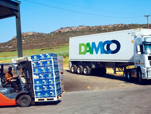 Damco Distribution Jobs