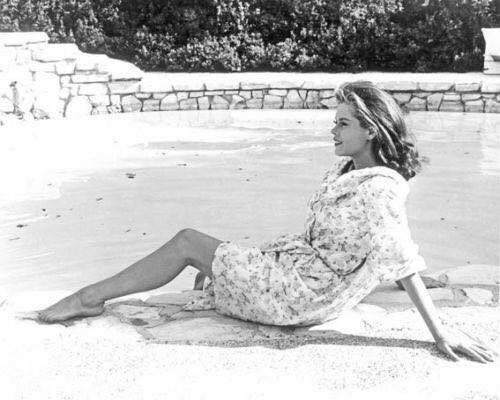 Elizabeth Montgomery Elizabeth Montgomery