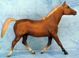 Breyer Morganglanz is in your collection!