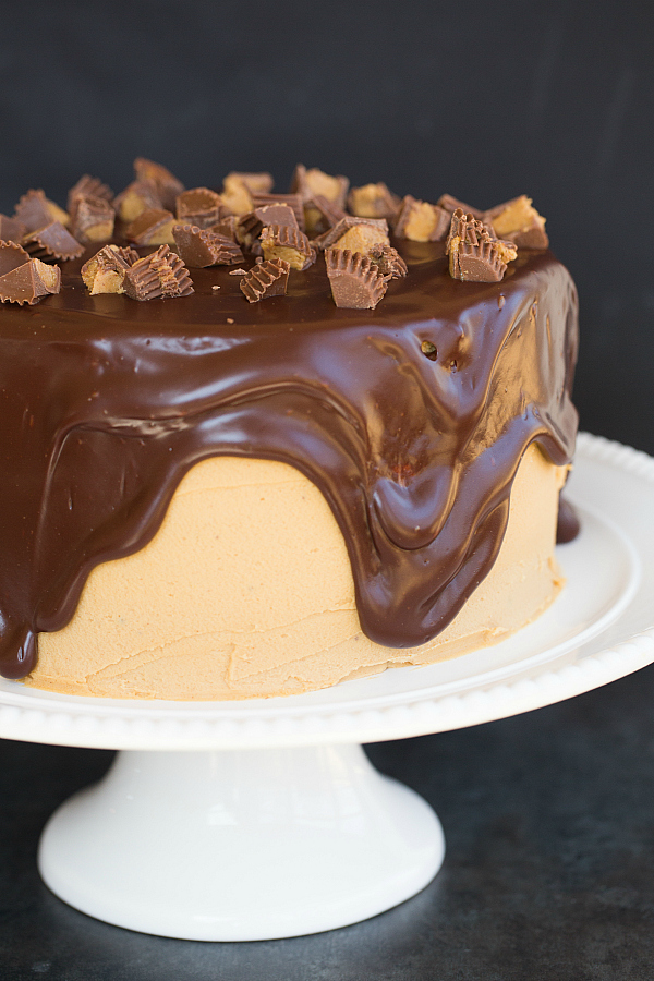 Peanut Butter Cup Overload Cake