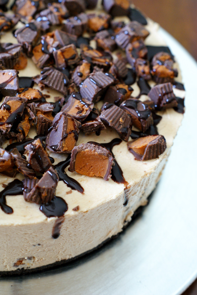 Peanut Butter Cup Overload Cake