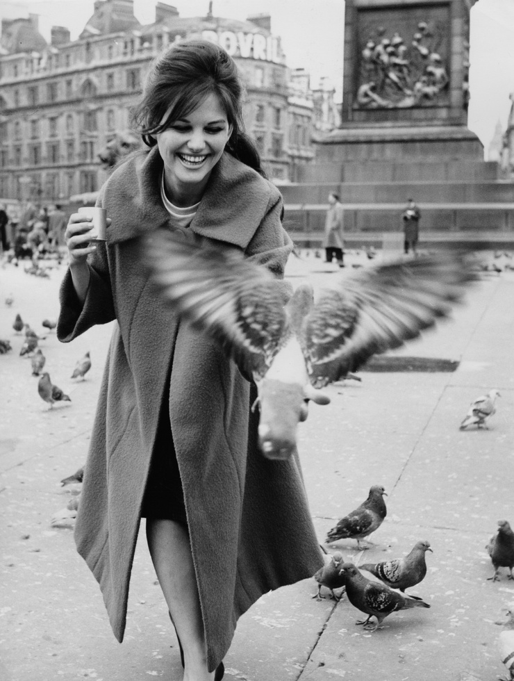 Claudia Cardinale Claudia Cardinale