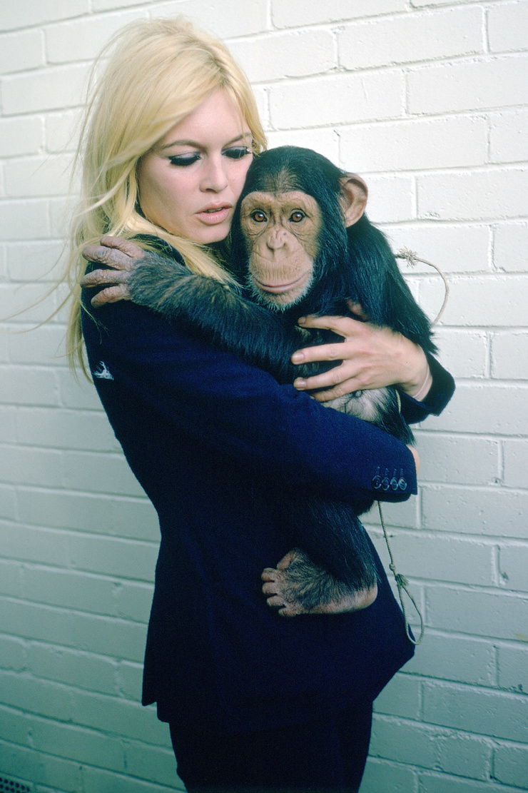 Brigitte Bardot Brigitte Bardot