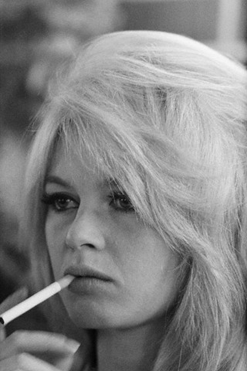 Brigitte Bardot Brigitte Bardot