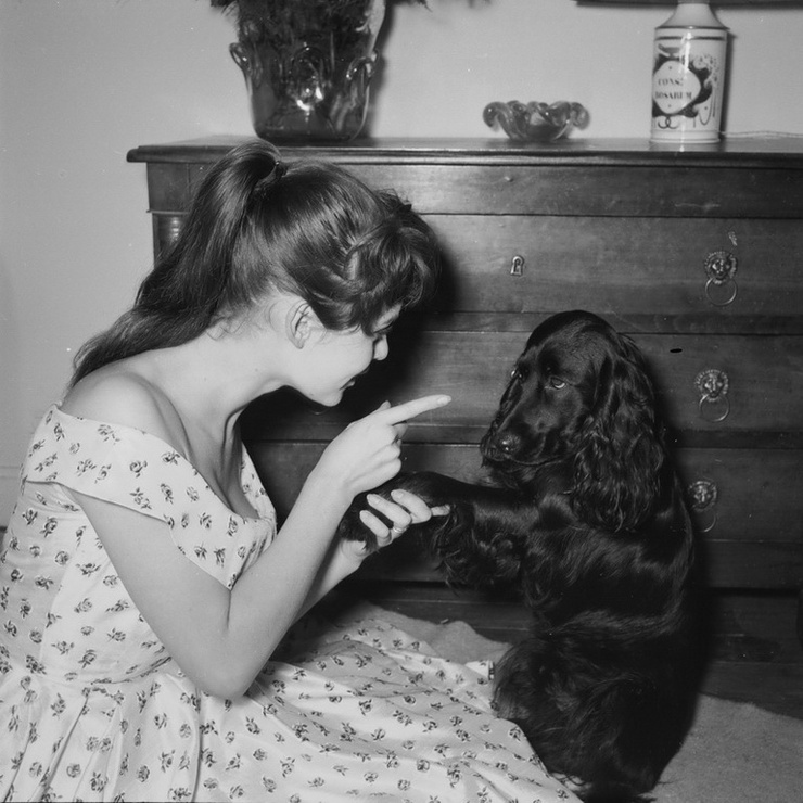 Brigitte Bardot Brigitte Bardot