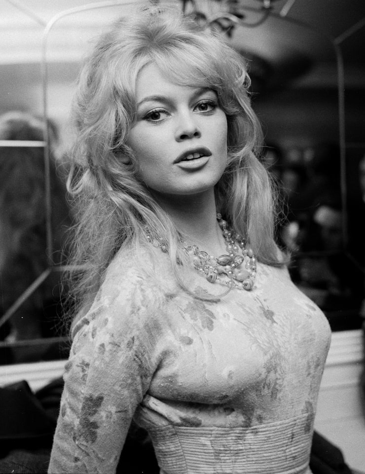 Picture Of Brigitte Bardot 