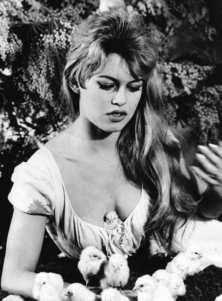 Brigitte Bardot