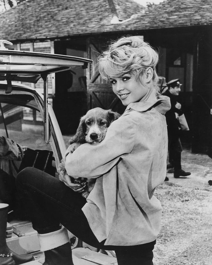 Brigitte Bardot Brigitte Bardot