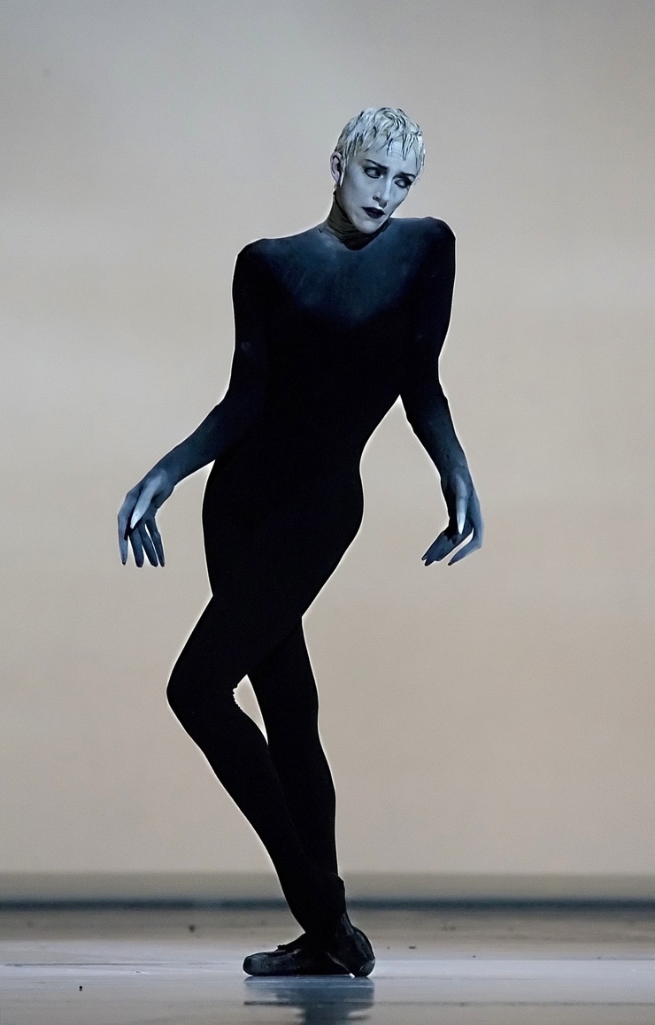 Bernice Coppieters