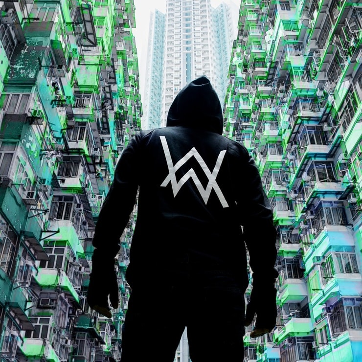 Alan Walker image