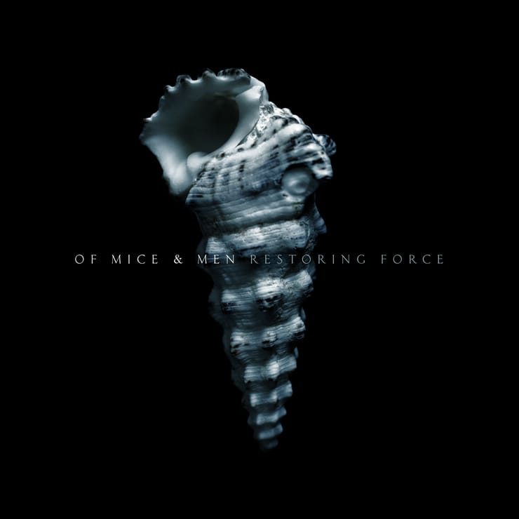 picture-of-restoring-force