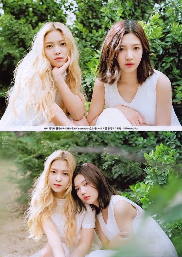 Joy (Park Soo Young)