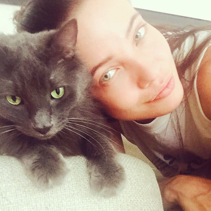 Stephanie Corneliussen Stephanie Corneliussen