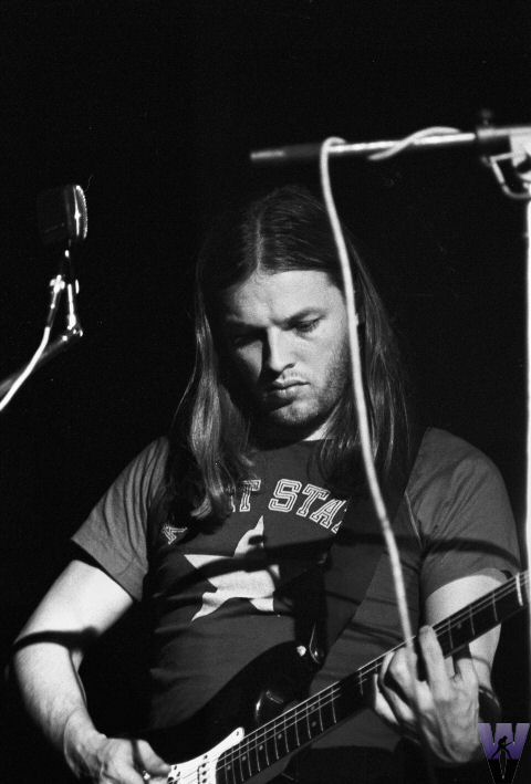 David Gilmour