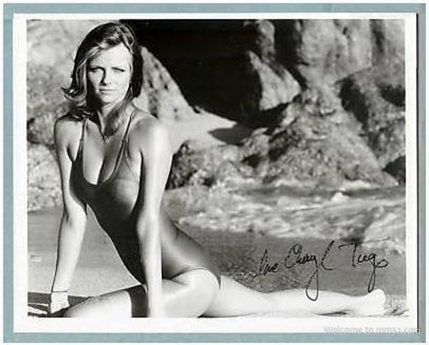 Cheryl Tiegs Cheryl Tiegs
