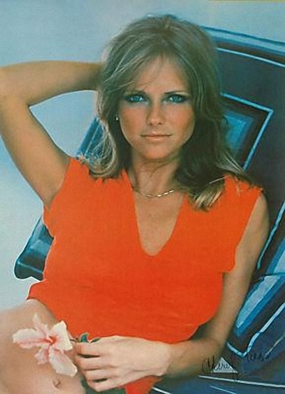 Cheryl Tiegs