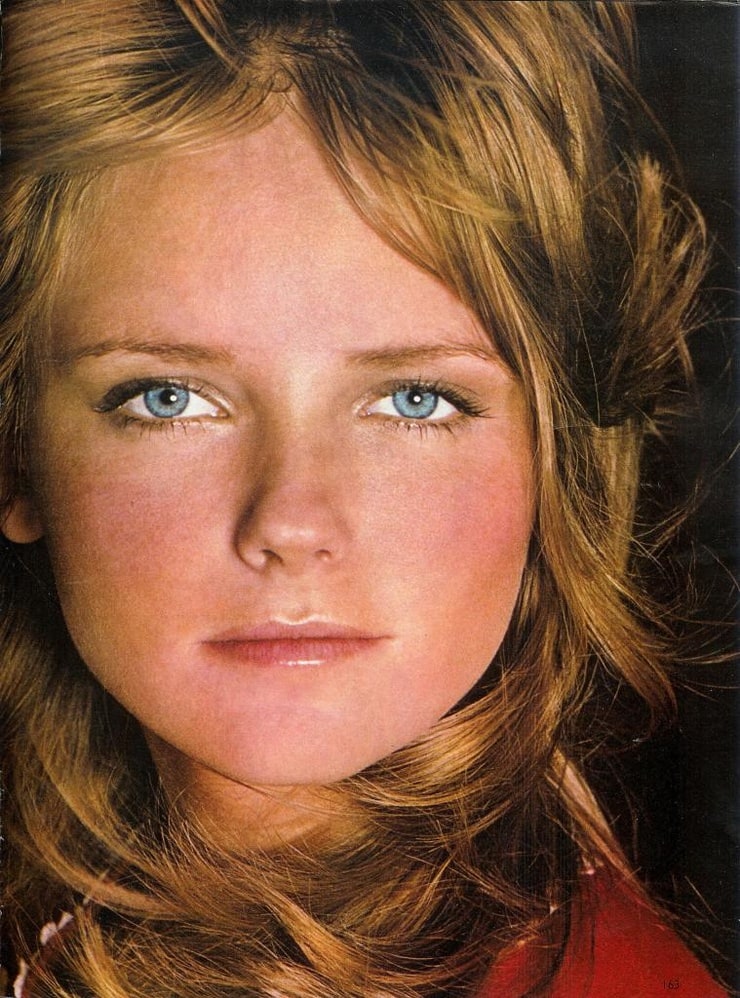 Picture of Cheryl Tiegs