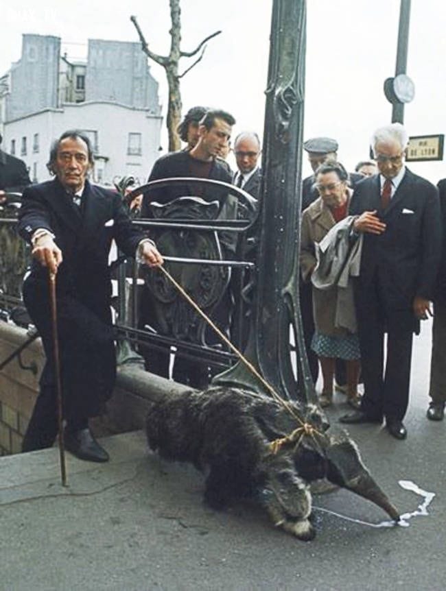 Salvador Dalí Salvador Dalí