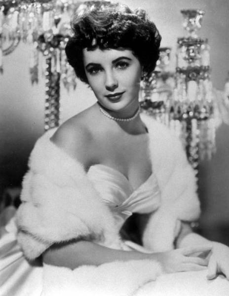 Elizabeth Taylor Elizabeth Taylor