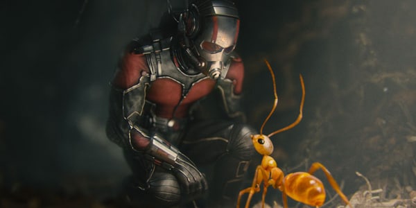 Scott Lang / Ant-Man (Paul Rudd)