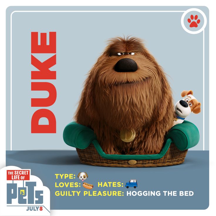 Duke Duke