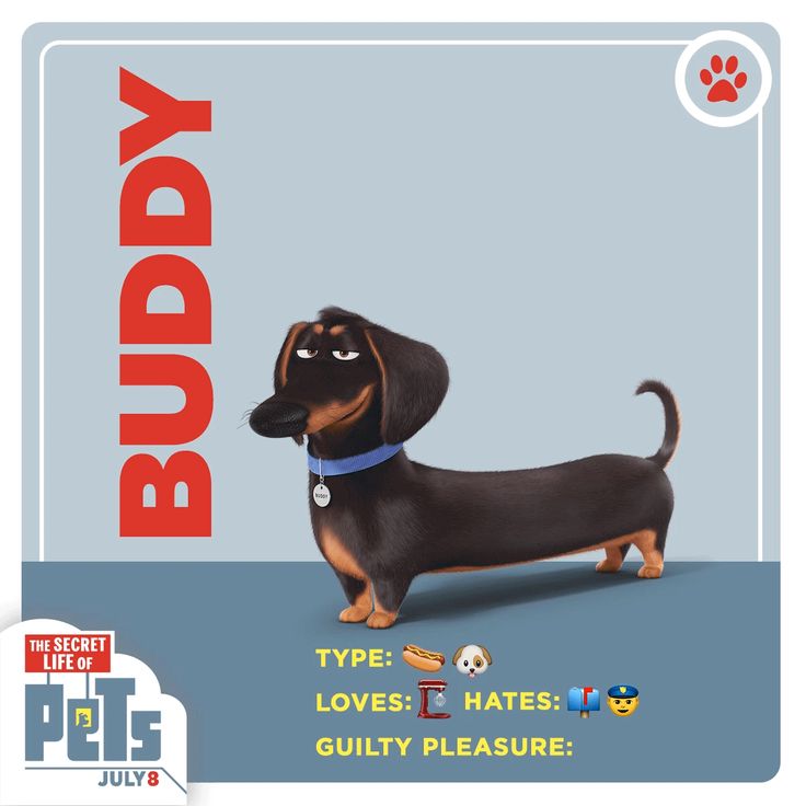 Buddy Buddy