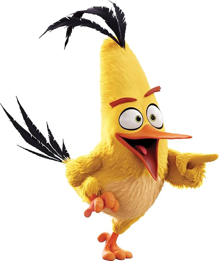 Chuck Chuck