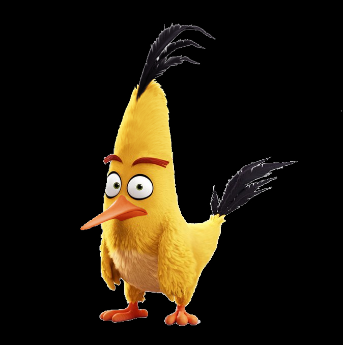 Chuck Chuck