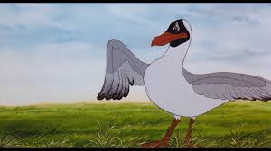 Kehaar