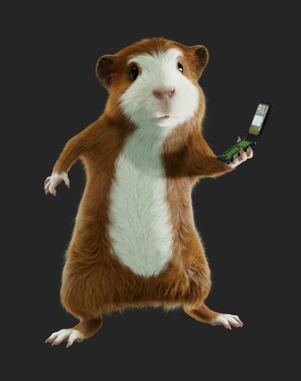 Darwin