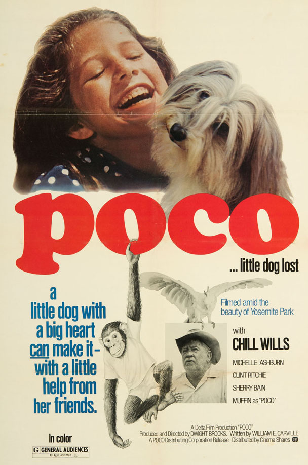 Poco... Little Dog Lost