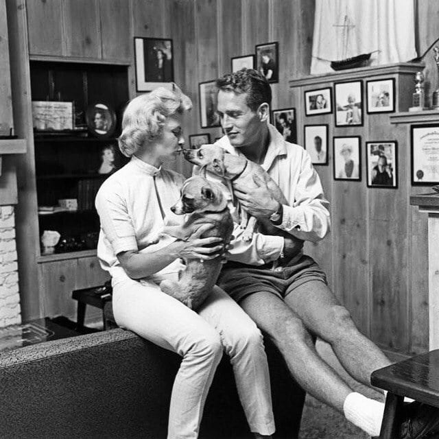 Paul Newman