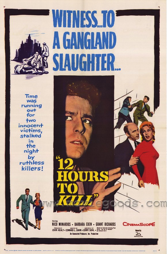 picture-of-12-hours-to-kill